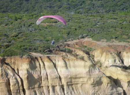 Airsports Adventure Flights - Restaurant Gold Coast 2