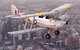 Vintage Tiger Moth Joy Flights - thumb 1