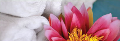 Regeneration Health Spa - Restaurant Gold Coast 2