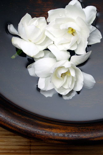 Temple Skincare - Restaurant Gold Coast 2