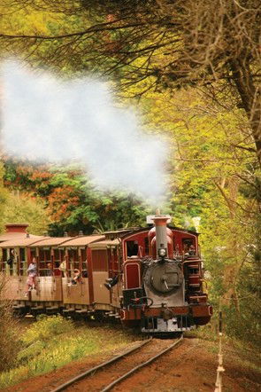 Puffing Billy - Restaurant Gold Coast 5