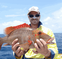 Carlo Fishing Charters - Restaurant Gold Coast