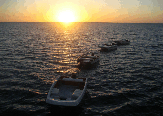 Carlo Fishing Charters - Restaurant Gold Coast 2
