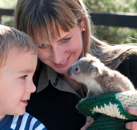 Australian Reptile Park - Restaurant Gold Coast 1