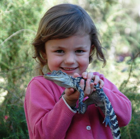 Australian Reptile Park - Restaurant Gold Coast 2