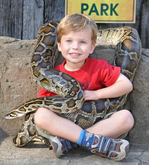 Australian Reptile Park - Restaurant Gold Coast 3