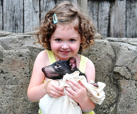 Australian Reptile Park - Restaurant Gold Coast 8