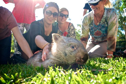 Australian Reptile Park - Restaurant Gold Coast 10