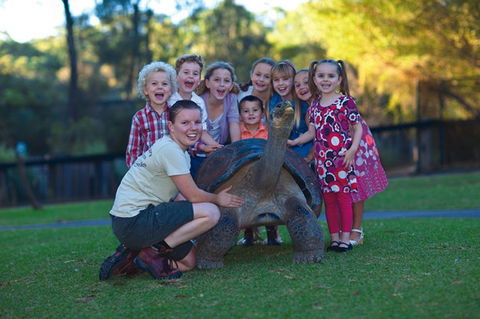 Australian Reptile Park - Restaurant Gold Coast 11