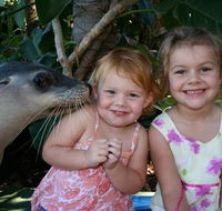 Dolphin Marine Magic - Restaurant Gold Coast
