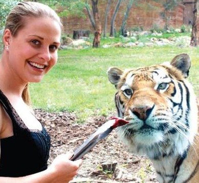 National Zoo & Aquarium - Restaurant Gold Coast 4