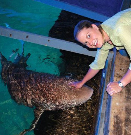 National Zoo & Aquarium - Restaurant Gold Coast 7