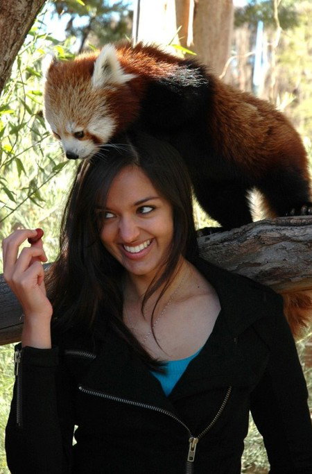 National Zoo & Aquarium - Restaurant Gold Coast 8