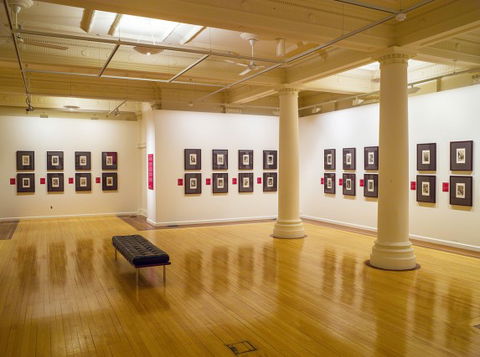 Cairns Regional Gallery - Restaurant Gold Coast 2