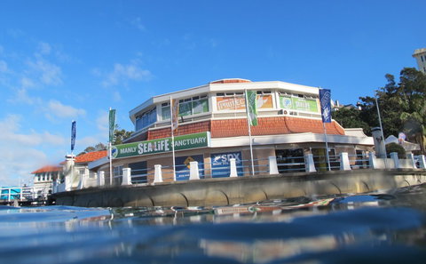 Manly SEA LIFE Sanctuary - Restaurant Gold Coast 2