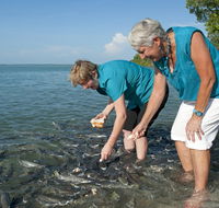 Aquascene Fish Feeding Sanctuary - Restaurant Gold Coast