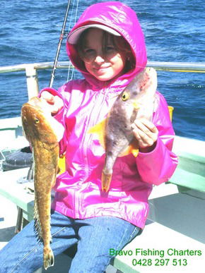 Bravo Fishing Charters - Restaurant Gold Coast 5