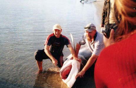 True Blue Fishing Charters - Restaurant Gold Coast 1