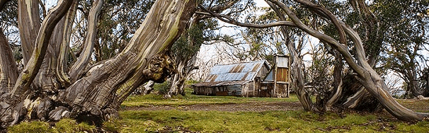 High Country Scenic Tours - Restaurant Gold Coast
