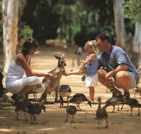 Billabong Sanctuary - Restaurant Gold Coast