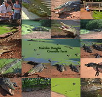 The Malcolm Douglas Crocodile Park - Restaurant Gold Coast
