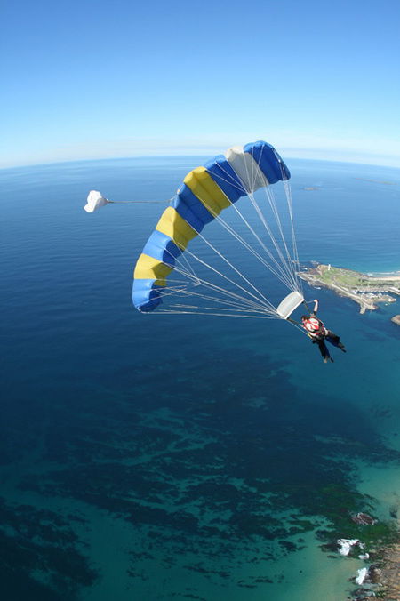 Skydive The Beach - Restaurant Gold Coast 2