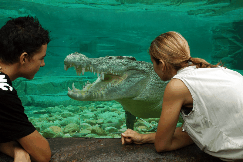 Cairns Wildlife Dome - Restaurant Gold Coast 1