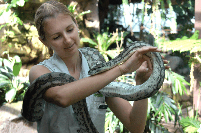 Cairns Wildlife Dome - Restaurant Gold Coast 2