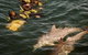 Rockingham Wild Encounters - thumb 2
