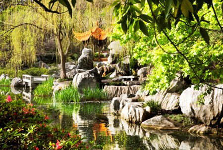 Chinese Garden Of Friendship - Restaurant Gold Coast 3