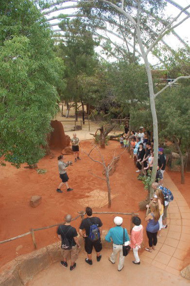WILD LIFE Sydney Zoo - Restaurant Gold Coast 2