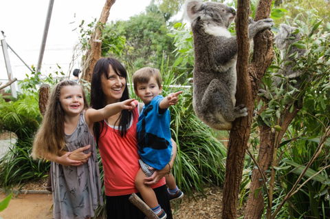 WILD LIFE Sydney Zoo - Restaurant Gold Coast 3