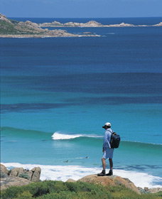 Smiths Beach - Restaurant Gold Coast 0
