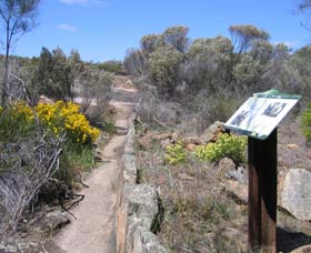 Wongan Hills WA Restaurant Gold Coast