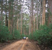 Boranup Drive - Restaurant Gold Coast