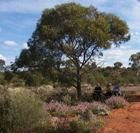 Karlkurla Bushland Park - Restaurant Gold Coast