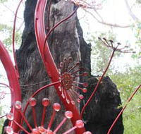 Understory Art In Nature - Restaurant Gold Coast