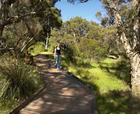 Leschenault Peninsula Conservation Park - Restaurant Gold Coast 0