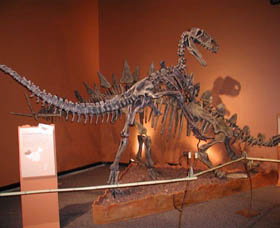 Denmark Dinosaur World - Restaurant Gold Coast 0