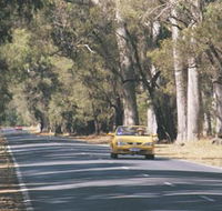 Ludlow Tuart Forest - Restaurant Gold Coast