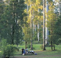 Big Brook Arboretum - Restaurant Gold Coast
