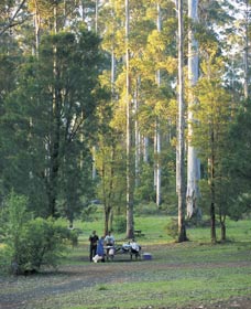 Big Brook Arboretum - Restaurant Gold Coast 0