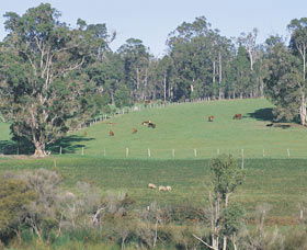 Scenic Drives - Bunbury Collie Donnybrook - Restaurant Gold Coast 0