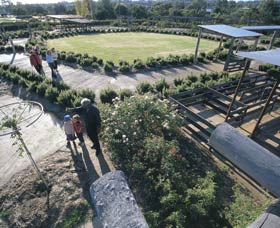 Kojonup Rose Maze - Restaurant Gold Coast 0