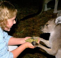 Discovery Bay's Walk on the Wild Side - Restaurant Gold Coast
