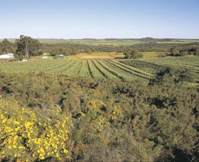 Chapman Valley Scenic Drive - Restaurant Gold Coast 0