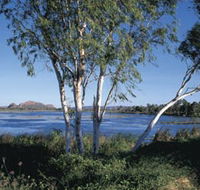 Celebrity Tree Park - Restaurant Gold Coast