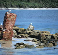 Whalers Beach - Restaurant Gold Coast