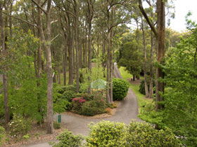 Mount Lofty Botanic Garden - Restaurant Gold Coast 0