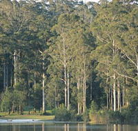 Big Brook Dam - Restaurant Gold Coast